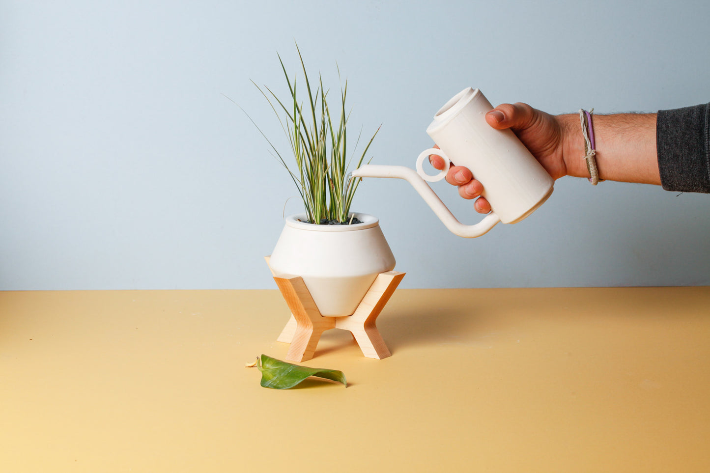 Watering + Can